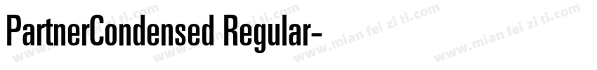PartnerCondensed Regular字体转换